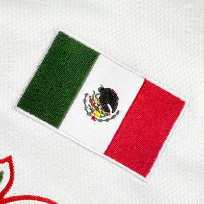 Mexico Custom Baseball Jersey